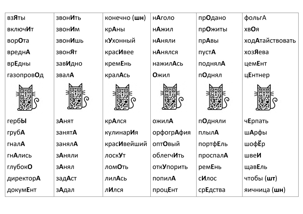 котик пример 2.jpg