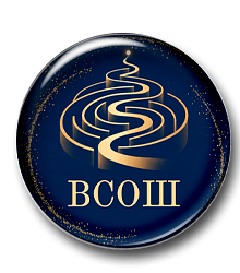 Подготовка к ВсОШ. Русский язык. 1 этап