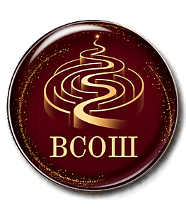 Подготовка к ВсОШ. Русский язык. 2 этап